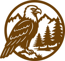 Bald eagle wildlife for sale  Gresham