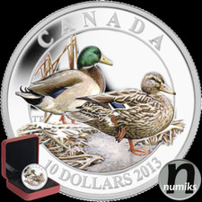 Stockente mallard kanada gebraucht kaufen  Ansbach