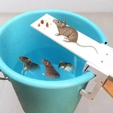Piège rats souris d'occasion  L'Isle-d'Espagnac