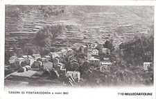 Fontanigorda casoni 1910 usato  Roma