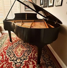 Excellent 2004 steinway for sale  Henderson