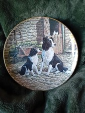 Understudy border fine for sale  YORK