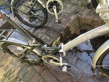 Two adult apollo for sale Two adult apollo for sale  LONDON