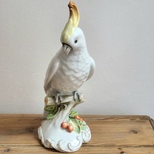 Cacatoès oiseau perroquet d'occasion  Grasse