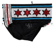 Punk signed wrestling for sale  Valley Stream