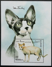 Afghanistan 1996 sphynx for sale  Winchester