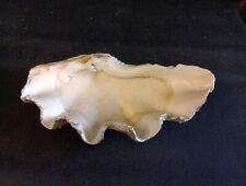 Coquillage bénitier vide d'occasion  Verquin