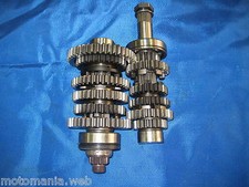 Triumph 955 1050 usato  Chiavari