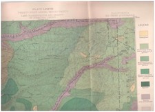 timber land trees for sale timber land trees for sale Athens
