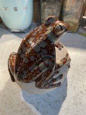 Tall garden frog for sale  LEDBURY