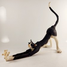 breed apart cats for sale breed apart cats for sale NORWICH