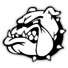 English bulldog face for sale English bulldog face for sale  Glendale