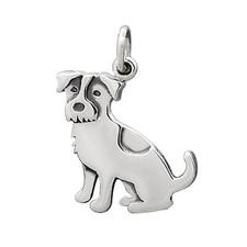 Jack russell terrier for sale  Irvine