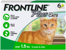 Front plus flea for sale  Perth Amboy
