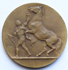Médaille comice agricole d'occasion  Auxerre