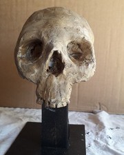 Vanitas scultura memento usato  Villachiara