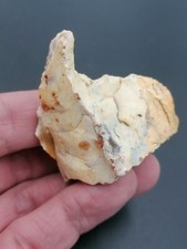 Upper paleolithic prob. d'occasion  Bonneville