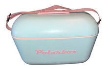 Polarbox retro style for sale  Mayfield