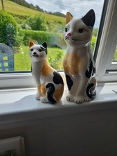 Set two cat for sale  ABERYSTWYTH