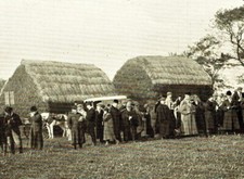 Spalding hare coursing for sale  WORCESTER