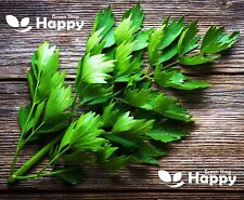 growing herbs for sale growing herbs for sale DONCASTER