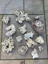 Marine aquarium live for sale  CAMBRIDGE