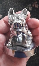 French bulldog chrome for sale  LONDON