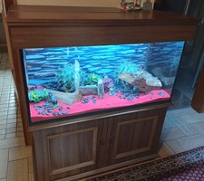 terrarium schrank gebraucht kaufen terrarium schrank gebraucht kaufen Quierschied