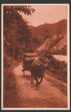 Cartão postal - Carrinho de boi na estrada da montanha, transporte rural, Japão comprar usado  Enviando para Brazil