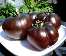 Vegetable seeds tomato for sale  DONCASTER