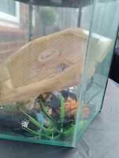 Hexagonal fish tank for sale  NEWBURY