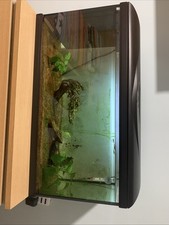 Acquario usato amtra usato  Vignate