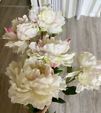 Pivoines sia branches d'occasion  Mandres-les-Roses
