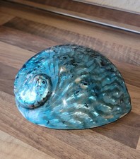 abalone gebraucht kaufen abalone gebraucht kaufen Chemnitz