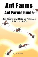 Ant farms. ant for sale  MILTON KEYNES