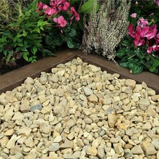 Golden gravel 20mm for sale  DARLINGTON