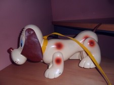 Raro cane cucciolone usato  Ragalna