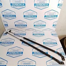 Coppia pistoni portellone usato  Frugarolo