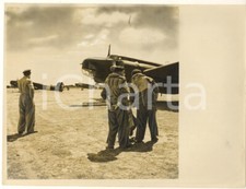 1943 ww2 guerra usato  Milano