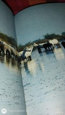 Livre cheval philippe d'occasion  Grugies