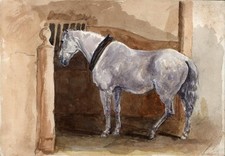 Horse stables study for sale  UK