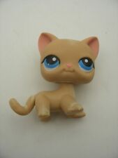 Hasbro littlest petshop d'occasion  Nogent-le-Roi