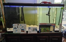 10 gallon glass fish tank for sale  Glen Burnie