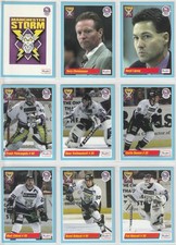 Manchester storm different for sale  SHEFFIELD