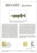 Document officiel 1990 d'occasion  Crécy-la-Chapelle