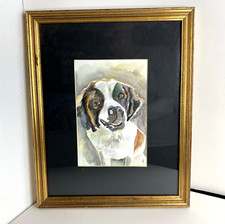 St. bernard dog for sale  Unionville