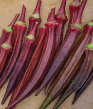 Okra red burgundy for sale  Sevierville