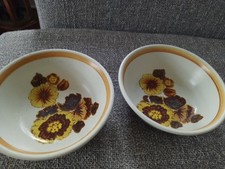 Royal doulton forest for sale  FRODSHAM
