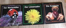 Peters kinderbuch kastanie gebraucht kaufen  Warburg
