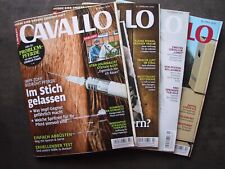 Cavallo 2019 pferde gebraucht kaufen  Katlenburg-Lindau